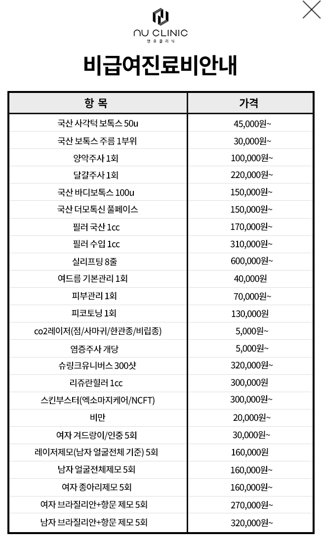 비급여 내역