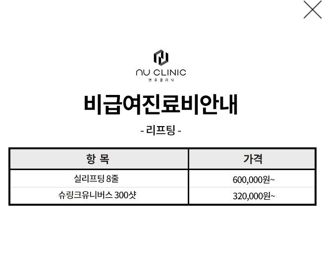 리프팅 비급여 내역