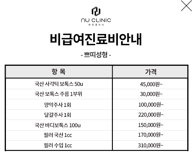 쁘띠성형 비급여 내역
