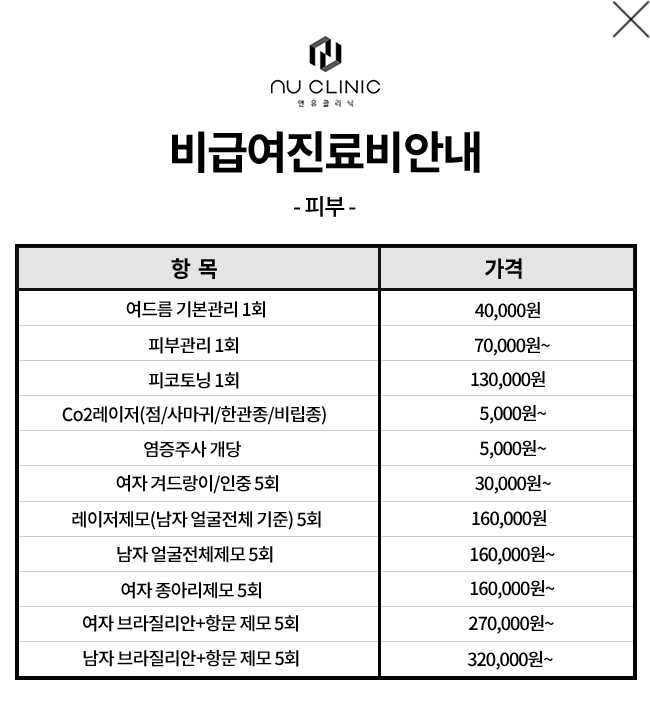 피부 비급여 내역
