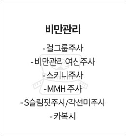 비만관리