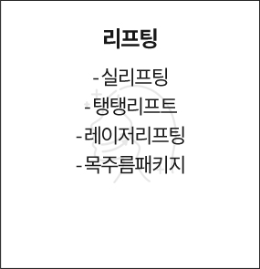 리프팅