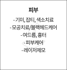피부